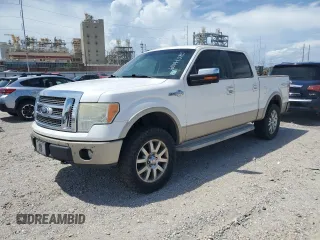 2010 Ford F-150 XL with VIN 1FTFW1EV5AKB58746, listed as a Copart auction lot 60144085 with Not provided miles and Salvage title. Bid and sale history available at DreamBid. Image 1.