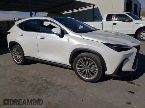 2022 Lexus NX with VIN JTJHKCEZ5N5003392, listed as a Copart auction lot 81854493 with 19,653 mi miles. Bid and sale history available at carsss.com. Image 4.