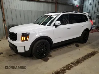 2024 Kia Telluride EX with VIN 5XYP3DGCXRG521053, listed as a Copart auction lot 50351475 with 18,227 mi miles and Salvage Title. Bid and sale history available at carsss.com. Image 1.