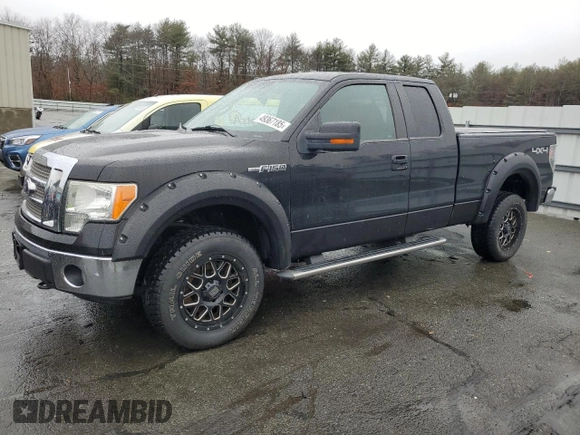 2010 Ford F-150 XL with VIN 1FTFX1EVXAFA78901, listed as a Copart auction lot 49367185 with 141,844 mi miles and Salvage Title. Bid and sale history available at carsss.com. Image 1.