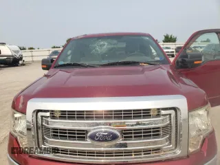 2013 Ford F-150 XL with VIN 1FTFX1CF6DFB51214, listed as a Copart auction lot 59024575 with 82,024 mi miles and Salvage title. Bid and sale history available at DreamBid. Image 11.