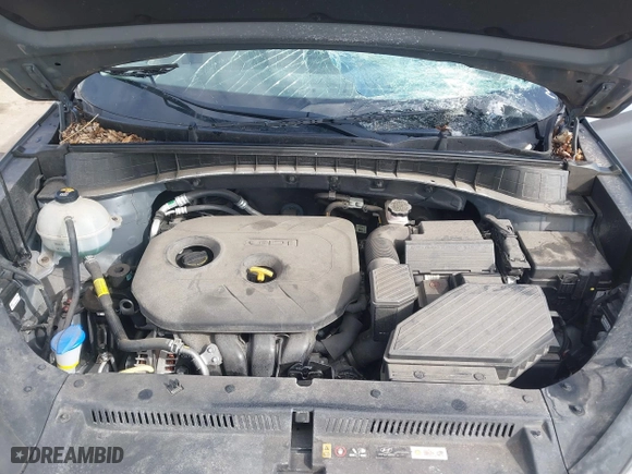 2019 Hyundai Tucson Value with VIN KM8J33A40KU999340, listed as a IAAI auction lot 41876380 with 52,752 mi miles. Bid and sale history available at carsss.com. Image 10.