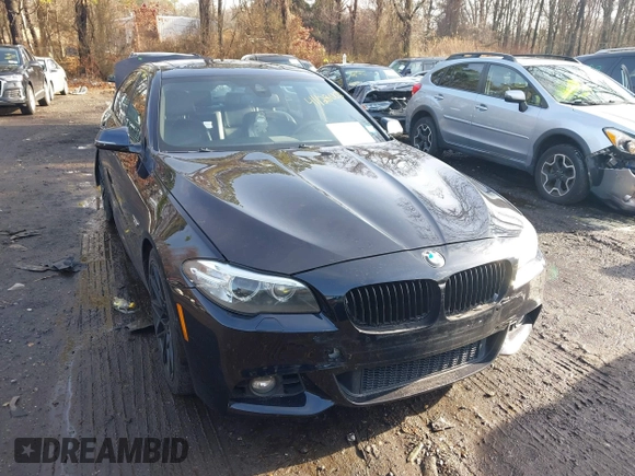 2015 BMW 5 Series 535i xDrive with VIN WBA5B3C56FD540699, listed as a IAAI auction lot 41128002 with 97,726 mi miles and . Bid and sale history available at DreamBid. Image 12.