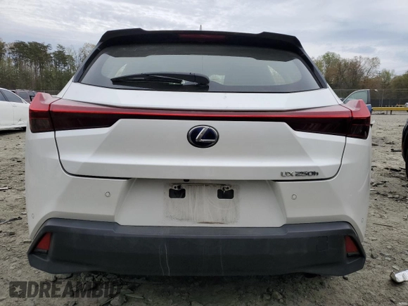 2019 Lexus UX 250h с VIN JTHU9JBH7K2008201, выставлен на аукционе Copart как лот 52631115 с пробегом 37 395 миль миль и Списание • Salvage title. История ставок и продаж доступна на DreamBid. Изображение 6.