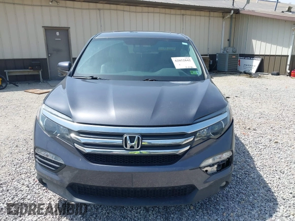 2018 Honda Pilot EX-L with VIN 5FNYF6H52JB066721, listed as a IAAI auction lot 42052842 with 134,393 mi miles and . Bid and sale history available at DreamBid. Image 12.