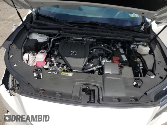 2024 Lexus RX 350 с VIN 2T2BAMCA9RC049214, выставлен на аукционе Copart как лот 57940765 с пробегом 19 809 миль миль и Списание • Salvage title. История ставок и продаж доступна на DreamBid. Изображение 11.