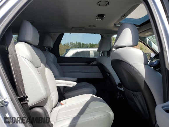 2020 Hyundai Palisade SEL with VIN KM8R4DHE4LU150995, listed as a Copart auction lot 53792915 with 44,181 mi miles and Salvage title. Bid and sale history available at DreamBid. Image 11.