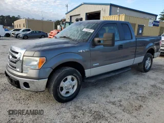 2011 Ford F-150 XL with VIN 1FTFX1CT9BKD50977, listed as a Copart auction lot 46324165 with 139,641 mi miles and Clean Title. Bid and sale history available at carsss.com. Image 1.