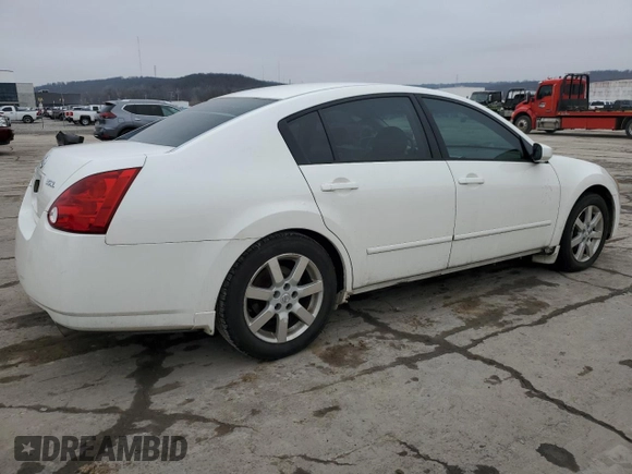 2006 Nissan Maxima 3.5 SE with VIN 1N4BA41E16C842768, listed as a Copart auction lot 44319175 with 175,065 mi miles and Salvage Title. Bid and sale history available at carsss.com. Image 3.