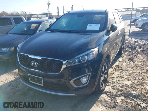 2016 Kia Sorento EX with VIN 5XYPHDA16GG028881, listed as a IAAI auction lot 41831757 with 179,223 mi miles and . Bid and sale history available at DreamBid. Image 19.