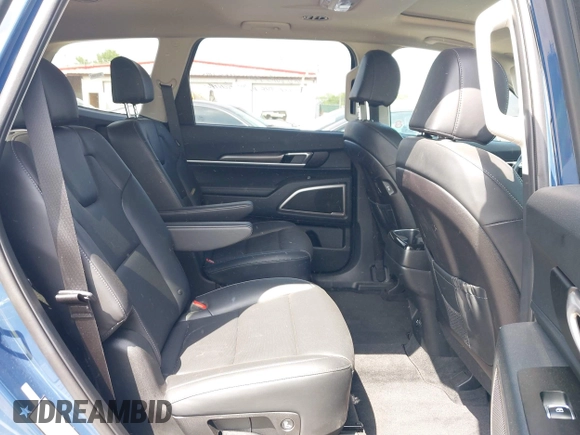 2025 Kia Telluride S with VIN 5XYP64GC6SG581215, listed as a IAAI auction lot 42295271 with 17,941 mi miles and . Bid and sale history available at DreamBid. Image 8.