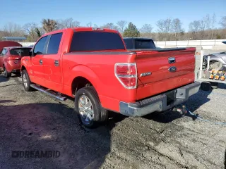 2013 Ford F-150 XL with VIN 1FTFW1CT9DFA26524, listed as a Copart auction lot 49811955 with 216,823 mi miles and Salvage Title. Bid and sale history available at carsss.com. Image 2.