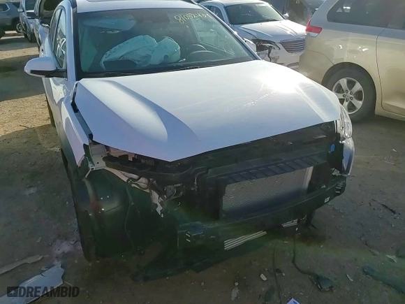 2023 Hyundai Kona Limited with VIN KM8K5CA31PU013603, listed as a Copart auction lot 81052434 with 9,731 mi miles and Salvage Title. Bid and sale history available at carsss.com. Image 10.