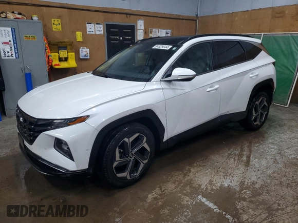 2022 Hyundai Tucson Limited with VIN 5NMJECAE7NH010601, listed as a Copart auction lot 84329044 with 22,564 mi miles and Non Repairable. Bid and sale history available at carsss.com. Image 1.