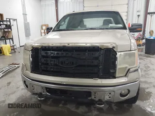 2009 Ford F-150 XL with VIN 1FTPX14V59KB32033, listed as a IAAI auction lot 42396083 with 298,749 mi miles and . Bid and sale history available at DreamBid. Image 13.