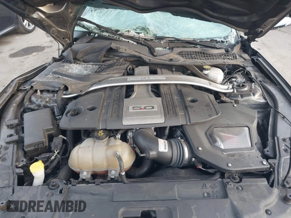 2019 Ford Mustang GT with VIN 1FA6P8CF1K5148108, listed as a IAAI auction lot 41459838 with 26,043 mi miles. Bid and sale history available at carsss.com. Image 10.