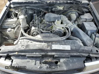 1999 Chevrolet Blazer Trailblazer z VIN 1GNDT13W2X2130625, wystawiony jako Copart lot #50596885 z przebiegiem 187 444 mil mil oraz Czysty tytuł • Clean title. Historia ofert i sprzedaży dostępna na DreamBid. Obrazek 12.
