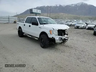 2012 Ford F-150 XL with VIN 1FTFW1EF0CFA48871, listed as a Copart auction lot 51699325 with 187,283 mi miles and Salvage title. Bid and sale history available at DreamBid. Image 10.