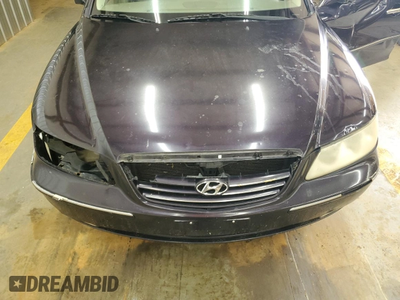2006 Hyundai Azera SE with VIN KMHFC46F36A096628, listed as a Copart auction lot 61042145 with 229,357 mi miles and Salvage title. Bid and sale history available at DreamBid. Image 11.