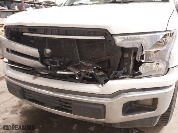 2019 Ford F-150 XL with VIN 1FTMF1C53KKE18847, listed as a IAAI auction lot 41526344 with 184,942 mi miles. Bid and sale history available at carsss.com. Image 6.
