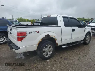 2009 Ford F-150 STX with VIN 1FTRX12W09FA04019, listed as a Copart auction lot 58752715 with 222,820 mi miles and Clean title. Bid and sale history available at DreamBid. Image 3.
