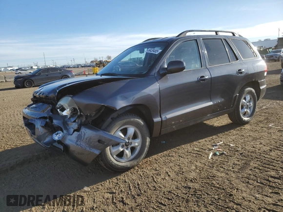 2005 Hyundai Santa Fe GLS with VIN KM8SC73D95U989158, listed as a Copart auction lot 49439485 with 151,332 mi miles and Salvage Title. Bid and sale history available at carsss.com. Image 1.