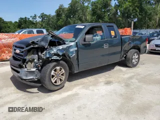 2006 Ford F-150 STX z VIN 1FTRX12W36NA52289, wystawiony jako Copart lot #60424725 z przebiegiem 215 034 mil mil oraz Szkoda całkowita • Salvage title. Historia ofert i sprzedaży dostępna na DreamBid. Obrazek 1.