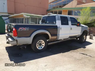 2011 Ford Super Duty F-250 SRW XL with VIN 1FT7W2BT5BEC94274, listed as a Copart auction lot 52419225 with 317,079 mi miles and Salvage Title. Bid and sale history available at carsss.com. Image 3.