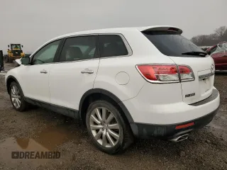 2009 Mazda CX-9 Grand Touring with VIN JM3TB38A590174074, listed as a Copart auction lot 49623355 with 123,531 mi miles and Salvage Title. Bid and sale history available at carsss.com. Image 2.