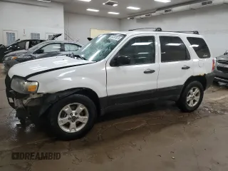 2006 Ford Escape XLT с VIN 1FMYU93116KD13292, выставлен на аукционе Copart как лот 54197675 с пробегом 217 347 миль миль и Чистый • Clean title. История ставок и продаж доступна на DreamBid. Изображение 1.