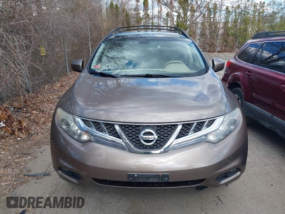 2013 Nissan Murano SV with VIN JN8AZ1MW8DW311181, listed as a IAAI auction lot 41891833 with 162,091 mi miles. Bid and sale history available at carsss.com. Image 6.