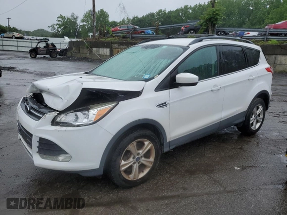 2014 Ford Escape SE with VIN 1FMCU9GX1EUE28700, listed as a Copart auction lot 59841745 with 135,210 mi miles and Salvage title. Bid and sale history available at DreamBid. Image 1.