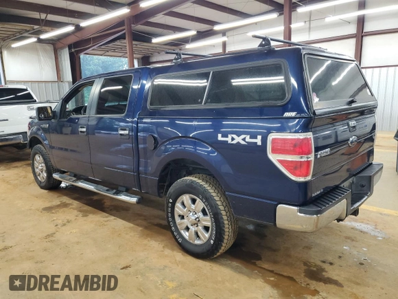 2009 Ford F-150 XL with VIN 1FTPW14V09FB11277, listed as a Copart auction lot 59531415 with 186,572 mi miles and Salvage title. Bid and sale history available at DreamBid. Image 2.