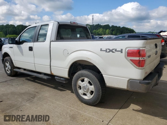 2013 Ford F-150 XL with VIN 1FTFX1EF8DKE35559, listed as a Copart auction lot 55754985 with 193,184 mi miles and Salvage title. Bid and sale history available at DreamBid. Image 2.