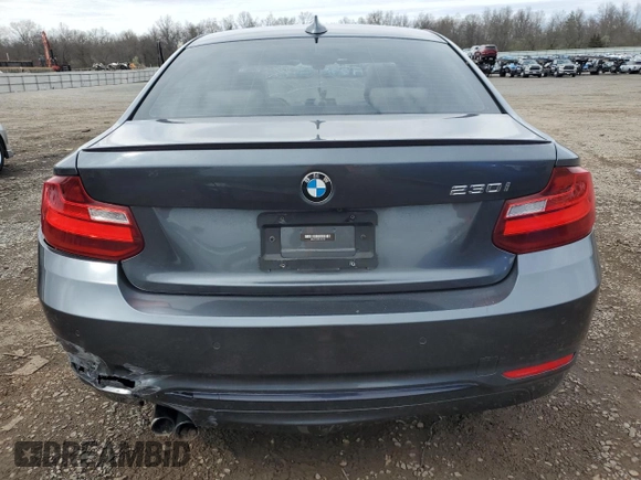 2017 BMW 2 Series 230i with VIN WBA2F9C52HV664153, listed as a Copart auction lot 51953875 with 71,904 mi miles and Salvage title. Bid and sale history available at DreamBid. Image 6.
