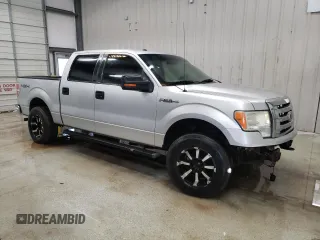2010 Ford F-150 XL with VIN 1FTFW1EV5AFB52356, listed as a Copart auction lot 48421325 with 295,621 mi miles and Clean Title. Bid and sale history available at carsss.com. Image 4.