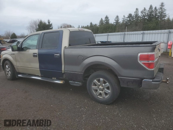 2009 Ford F-150 XL with VIN 1FTRW14869FA71127, listed as a Copart auction lot 81552544 with Not provided miles and Salvage title. Bid and sale history available at DreamBid. Image 2.
