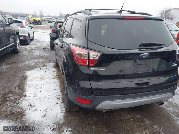 2017 Ford Escape SE with VIN 1FMCU0GD8HUE27467, listed as a IAAI auction lot 41185108 with 170,095 mi miles. Bid and sale history available at carsss.com. Image 3.