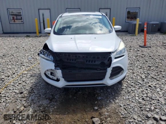 2013 Ford Escape SE with VIN 1FMCU0G98DUA98873, listed as a Copart auction lot 61253725 with 140,534 mi miles and Clean title. Bid and sale history available at DreamBid. Image 5.