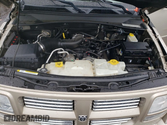 2010 Dodge Nitro SXT with VIN 1D4PU5GK5AW124354, listed as a Copart auction lot 80771444 with Not Provided miles and Clean Title. Bid and sale history available at DreamBid. Image 11.
