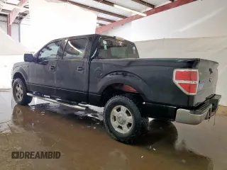 2010 Ford F-150 XL with VIN 1FTEW1E80AFB26785, listed as a Copart auction lot 59383405 with 220,540 mi miles and Clean title. Bid and sale history available at DreamBid. Image 2.