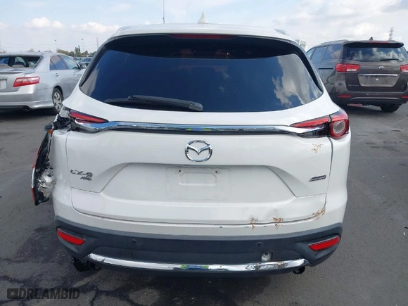 2017 Mazda CX-9 Signature with VIN JM3TCBEY9H0134619, listed as a IAAI auction lot 41450771 with 110,233 mi miles. Bid and sale history available at carsss.com. Image 16.