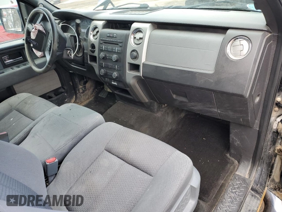 2013 Ford F-150 XL with VIN 1FTEX1CM4DFA97115, listed as a Copart auction lot 49899335 with Not Provided miles and Salvage Title. Bid and sale history available at carsss.com. Image 8.