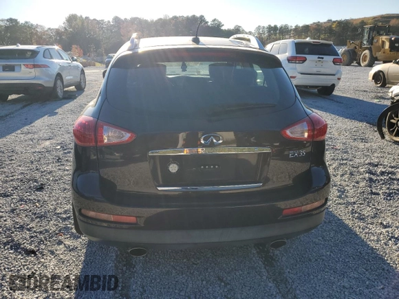 2010 Infiniti EX Journey with VIN JN1AJ0HP7AM701988, listed as a Copart auction lot 81646054 with 145,198 mi miles and Salvage Title. Bid and sale history available at DreamBid. Image 6.