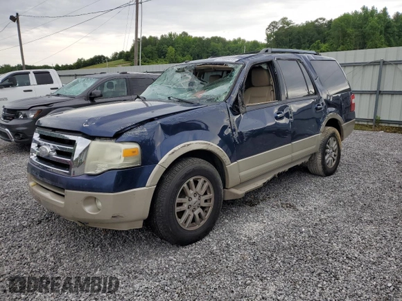 2010 Ford Expedition Eddie Bauer with VIN 1FMJU1H53AEA17695, listed as a Copart auction lot 55859415 with 207,090 mi miles and Salvage title. Bid and sale history available at DreamBid. Image 1.