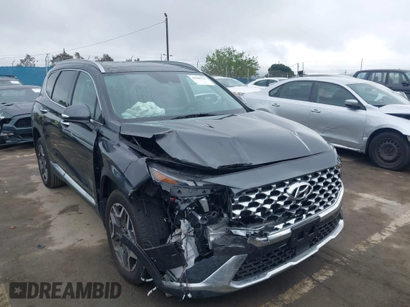 2023 Hyundai Santa Fe Limited with VIN 5NMS5DA19PH013204, listed as a IAAI auction lot 41909727 with 17,206 mi miles and . Bid and sale history available at DreamBid. Image 1.