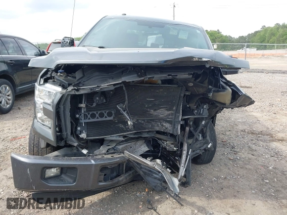 2016 Ford F-150 XL with VIN 1FTEW1CG1GFD48447, listed as a IAAI auction lot 42064744 with 146,989 mi miles and . Bid and sale history available at DreamBid. Image 12.