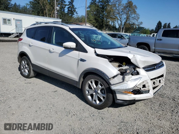 2016 Ford Escape Titanium with VIN 1FMCU9JX5GUC44579, listed as a Copart auction lot 54974965 with 113,776 mi miles and Salvage Title. Bid and sale history available at DreamBid. Image 4.