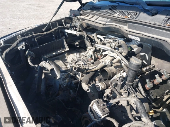 2015 Ram 1500 Big Horn z VIN 1C6RR7TM8FS711048, wystawiony jako IAAI lot #41760186 z przebiegiem Nie podano mil oraz . Historia ofert i sprzedaży dostępna na DreamBid. Obrazek 18.