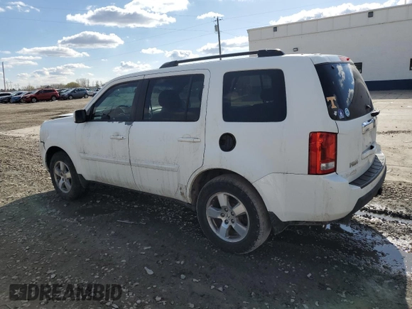 2011 Honda Pilot EX-L with VIN 5FNYF3H74BB031356, listed as a Copart auction lot 49798525 with 318,151 mi miles and Salvage Title. Bid and sale history available at carsss.com. Image 2.